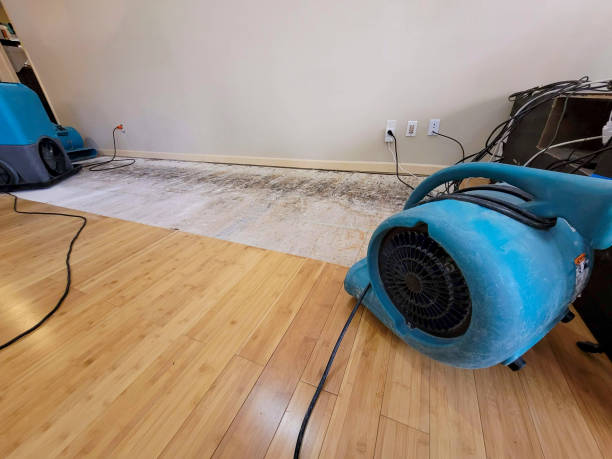 Professional Water Damage Repair technician working in Locust Grove, VA